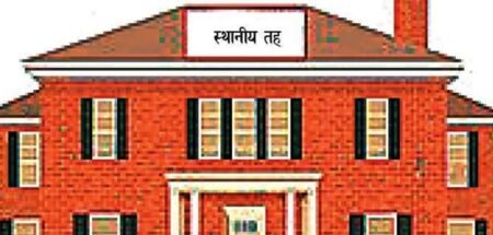 अनाथ बालबालिकाको अभिभावक स्थानीय निकाय