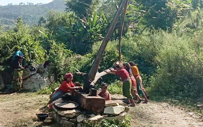 कोलुमा तोरी पेल्दै ।