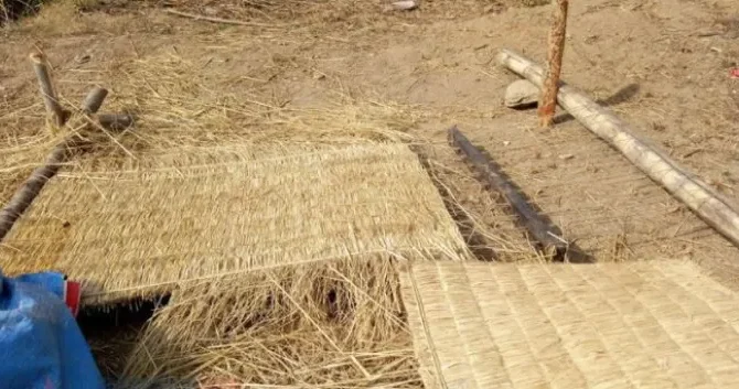 बजारीकरणको अभावमा लोप हुँदै गुन्द्री