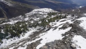 मुस्ताङमा हिमपातले किसानलाई राहत